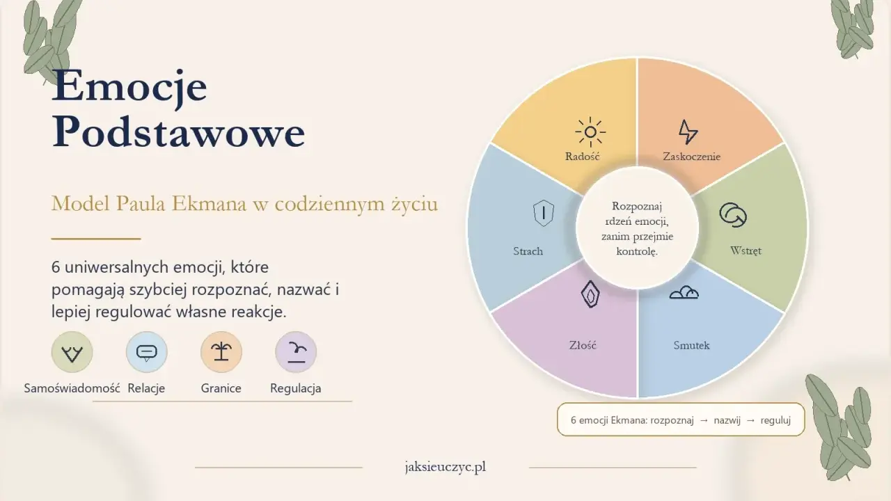 Model Ekmana: rozpoznaj rdzeń emocji, zanim przejmie kontrolę. 6 uniwersalnych emocji pomaga lepiej regulować własne reakcje.