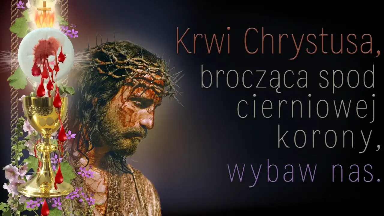 Obraz przedstawia cierpiącą twarz Jezusa w koronie cierniowej, z kielichem i hostią symbolizującymi krew Chrystusa. Motyw stabat mater dolorosa.