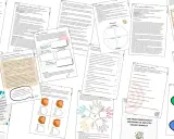 Obgadywanie: Co mówią za plecami? Psychologia i skuteczne strategie