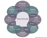 Schemat przedstawia neurodywersję, ukazując jej różne aspekty i cechy, takie jak dysleksja, ADHD, ASC, w kontraście do neurotypowego postrzegania świata.