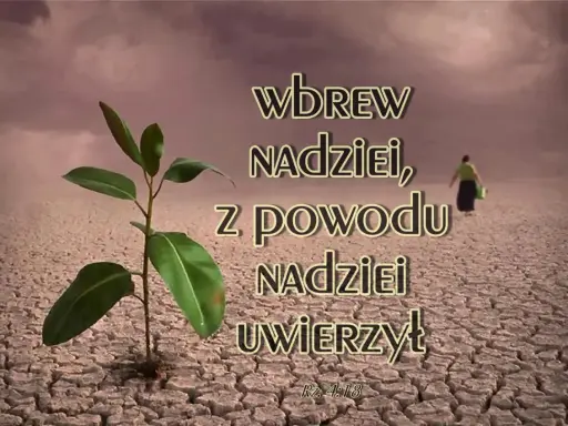 Młoda roślinka wyrasta z suchej ziemi, symbolizując nadzieję wbrew wszelkim przeciwnościom. Kobieta w oddali idzie przez pustynię, jakby wbrew logice, w tej **delulu** wierze.