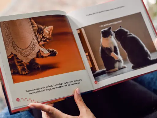 Jak wybrać najlepsze książki o autyzmie? Przewodnik dla każdego