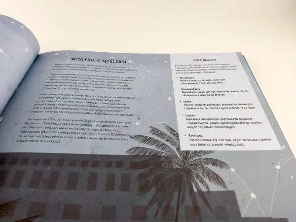 Co to jest filozofia? To dziedzina wiedzy badająca rzeczywistość, wiedzę, moralność, logikę, sztukę i piękno.