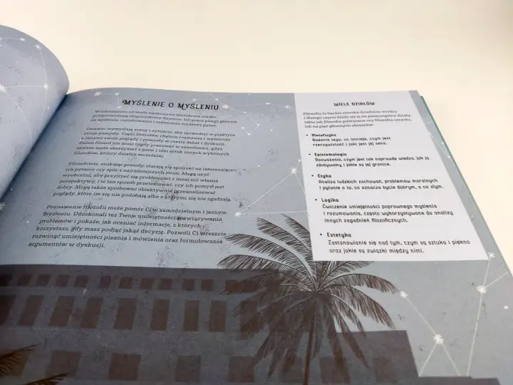 Co to jest filozofia? To dziedzina wiedzy badająca rzeczywistość, wiedzę, moralność, logikę, sztukę i piękno.